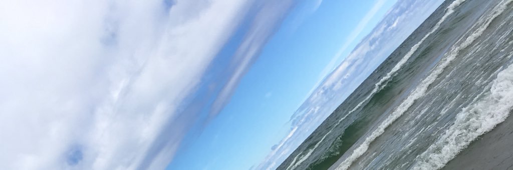 Hailey_Minix's profile banner image