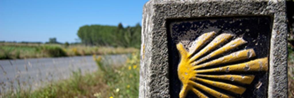 Suhofenix's profile banner image