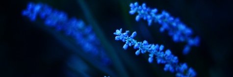 Aneta ObserwatorXY ®'s banner