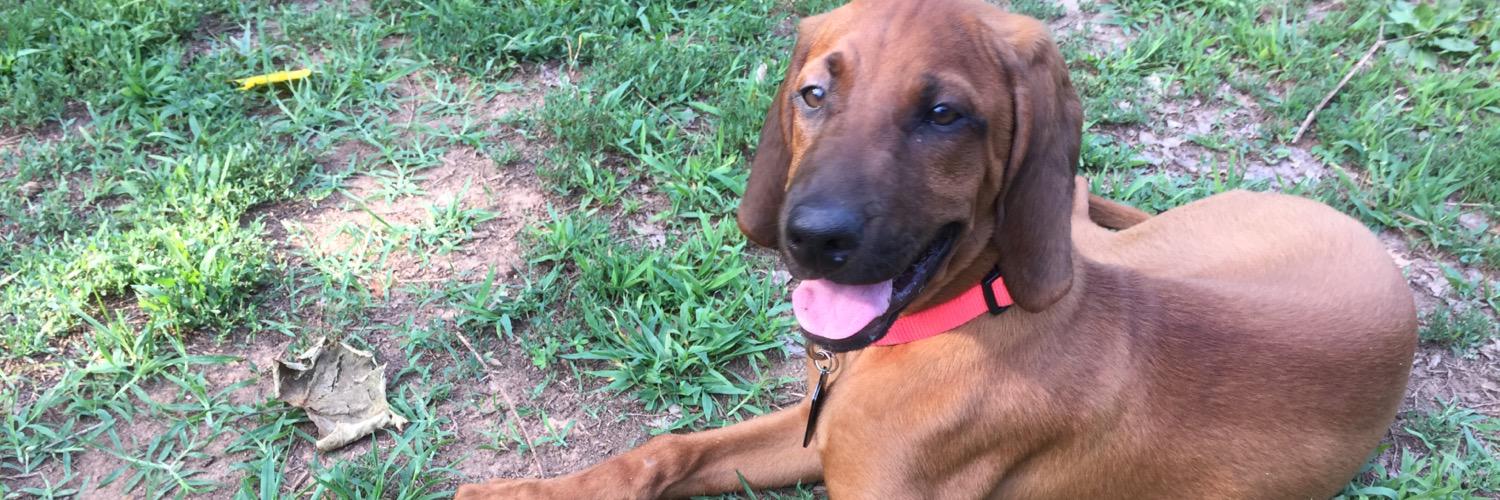 Madison Stuck banner