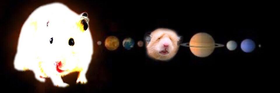 むっすびーず🍙's banner