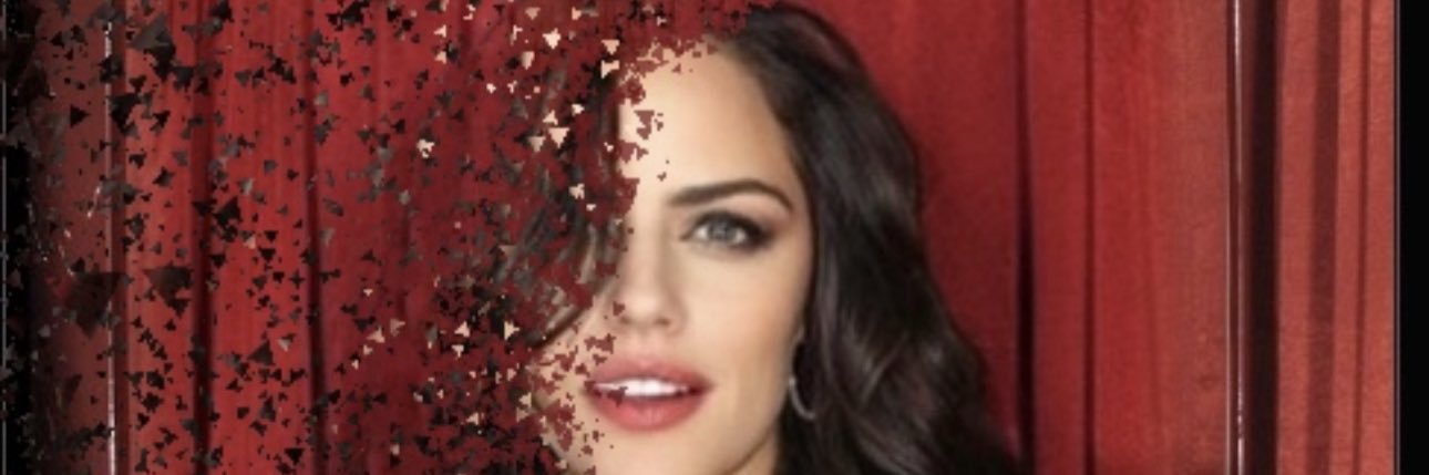 Stephanie Boyle banner