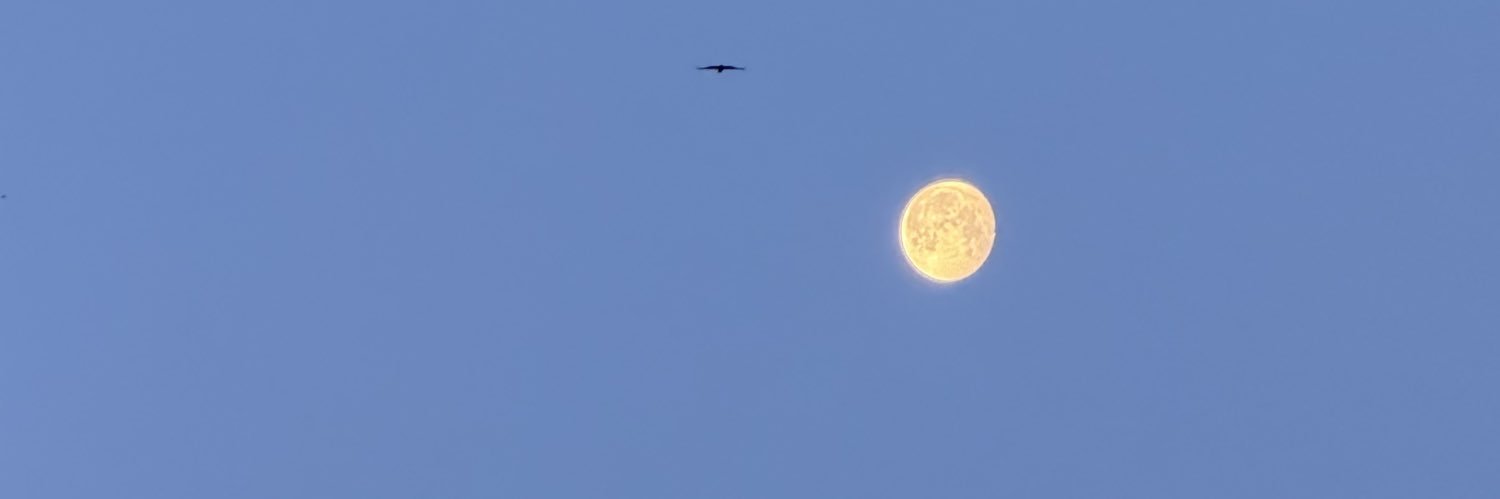 MarouaneKa's profile banner image