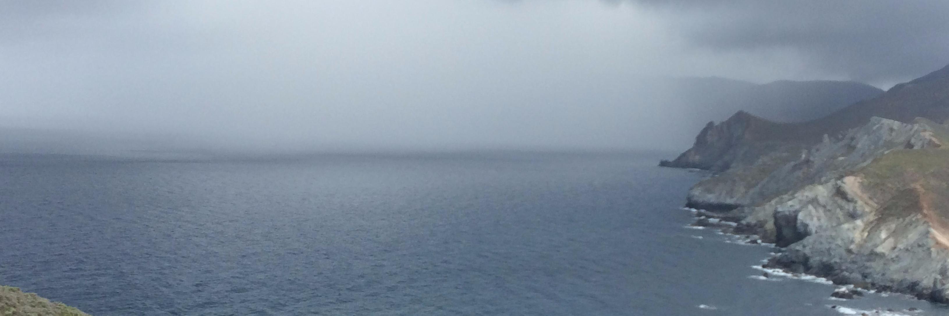 ZAMARA JIMENEZ banner