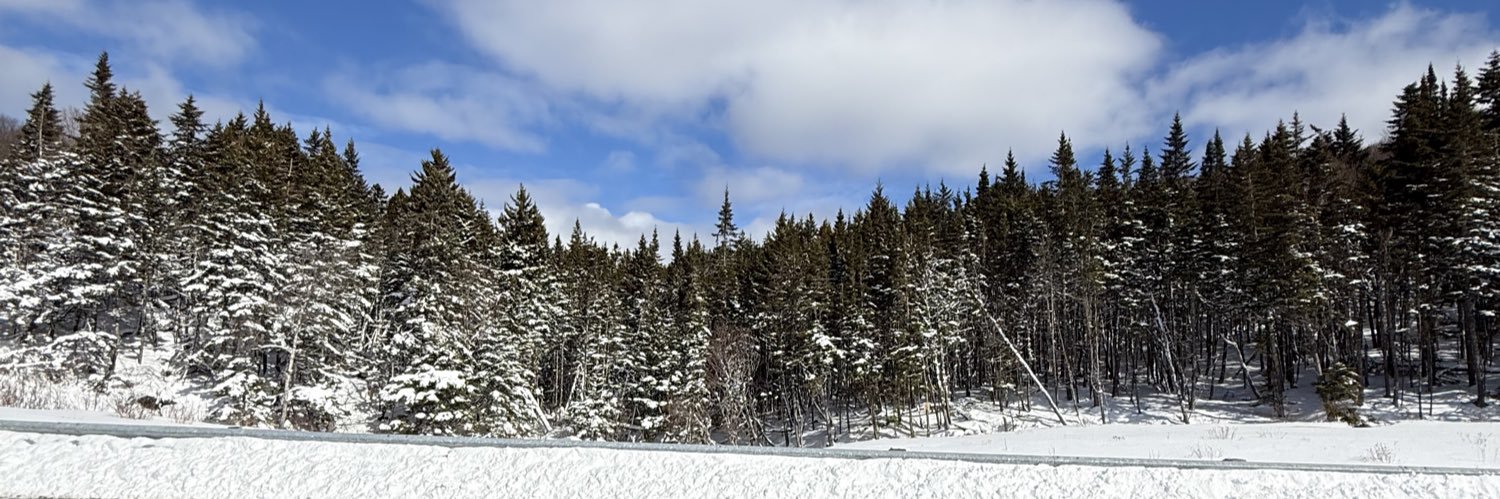 Jessica Suzanne Doyle banner