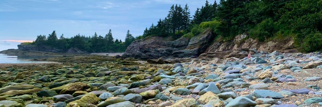 JessicaDoyle's profile banner image