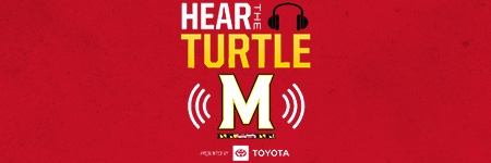 HearTheTurtle's profile banner image