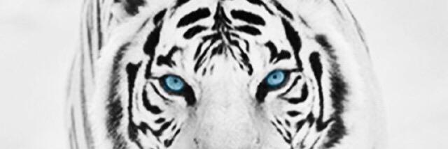 INVERSE THINKER banner