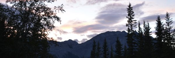 XforiS3 Profile Banner