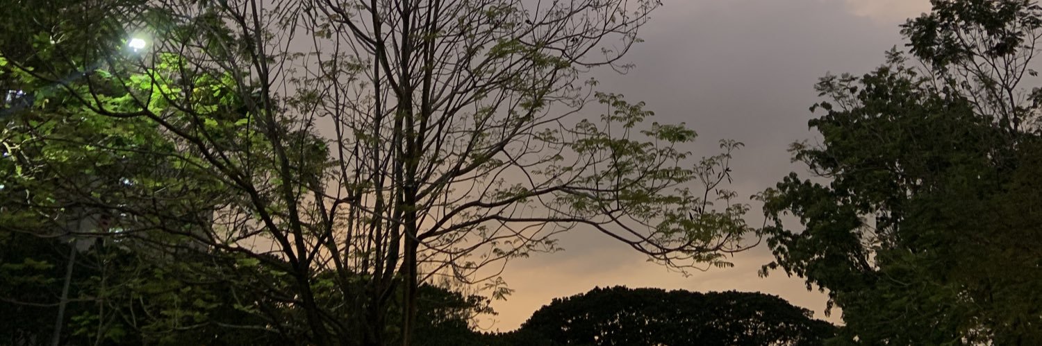 . banner