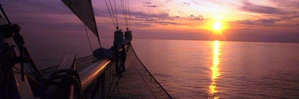 luciethibault1 Profile Banner