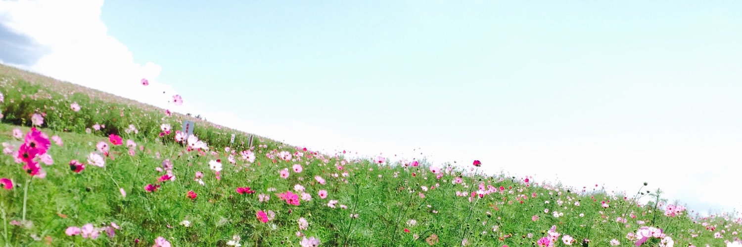 cherry_mn's profile banner image