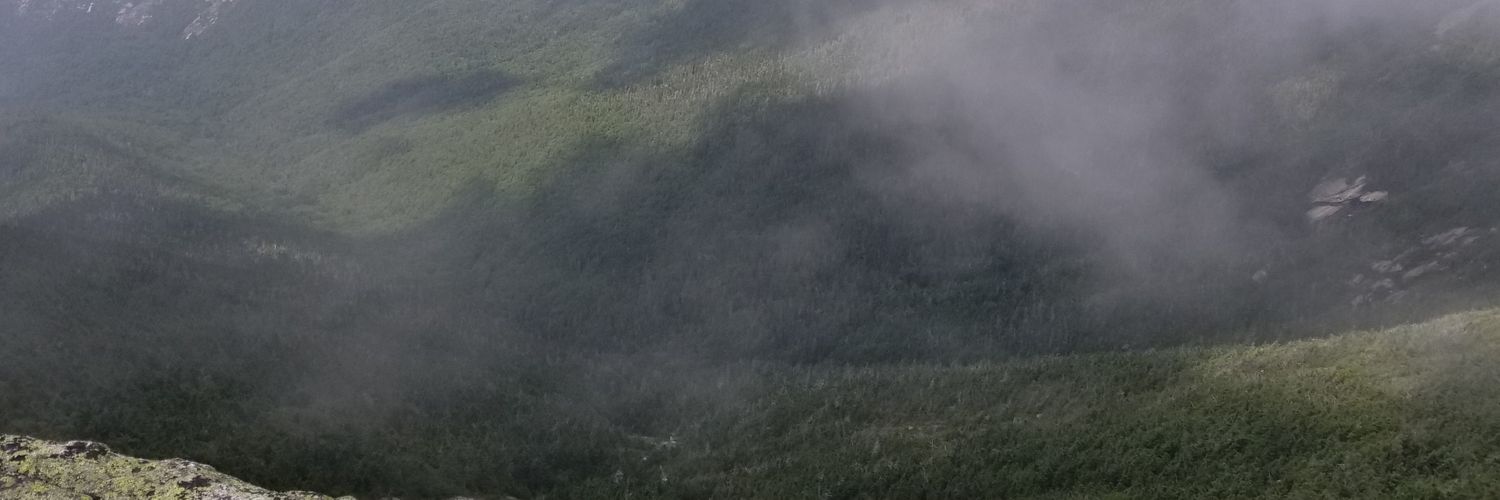 DSkyFlash's profile banner image