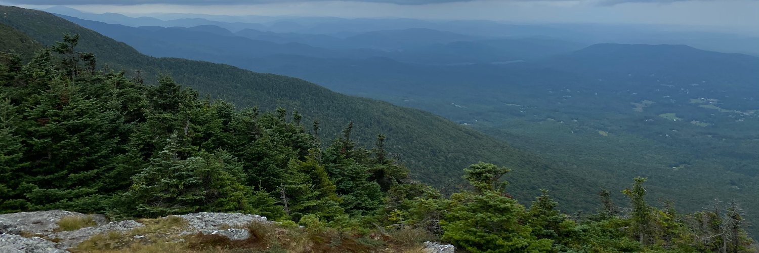 DShuldman's profile banner image