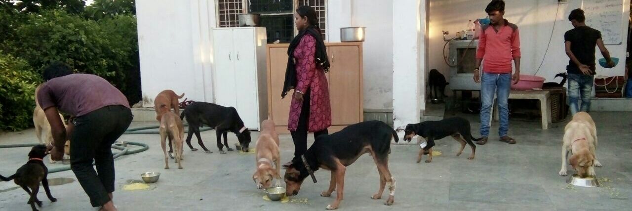 Tails of Compassion banner