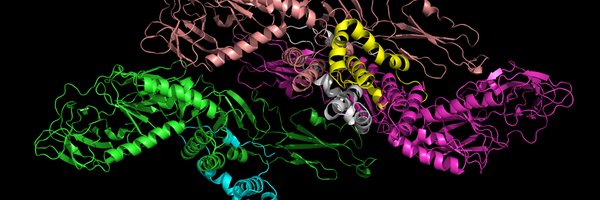 purduepi4d Profile Banner