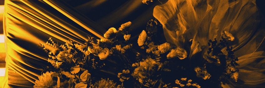 baeyjoorene's profile banner image