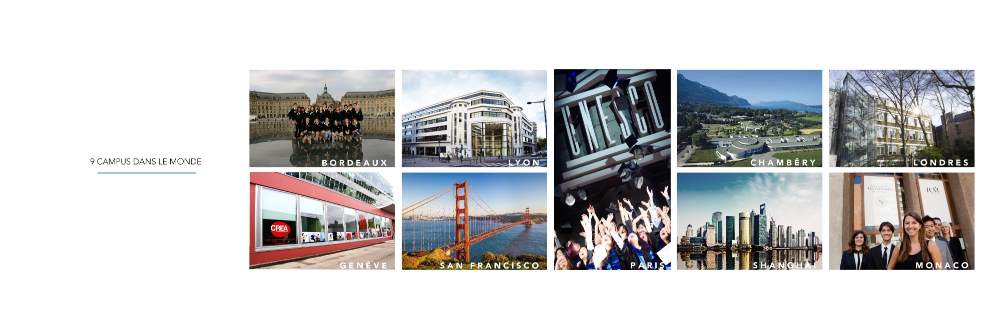 Catherine Lespine banner