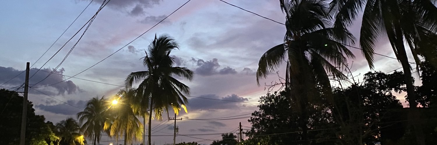 vidalcarrh's profile banner image