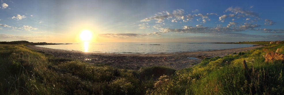 Mark Thompson banner