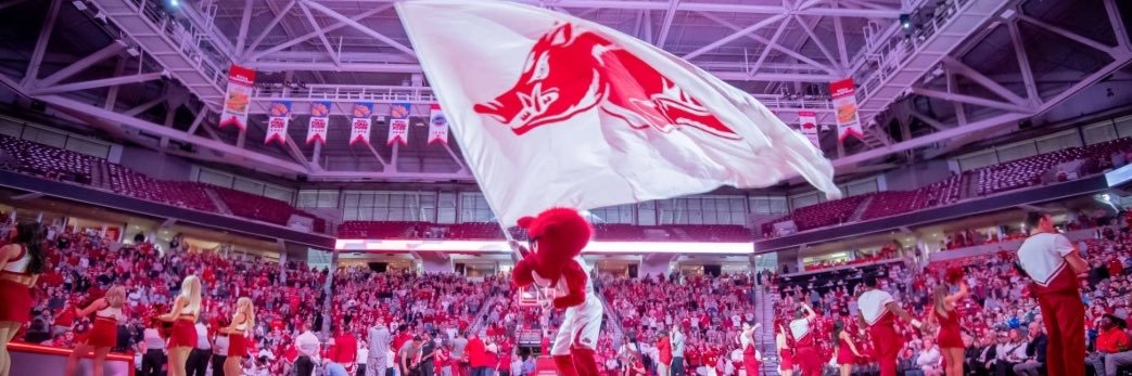 Deezhogs's profile banner image