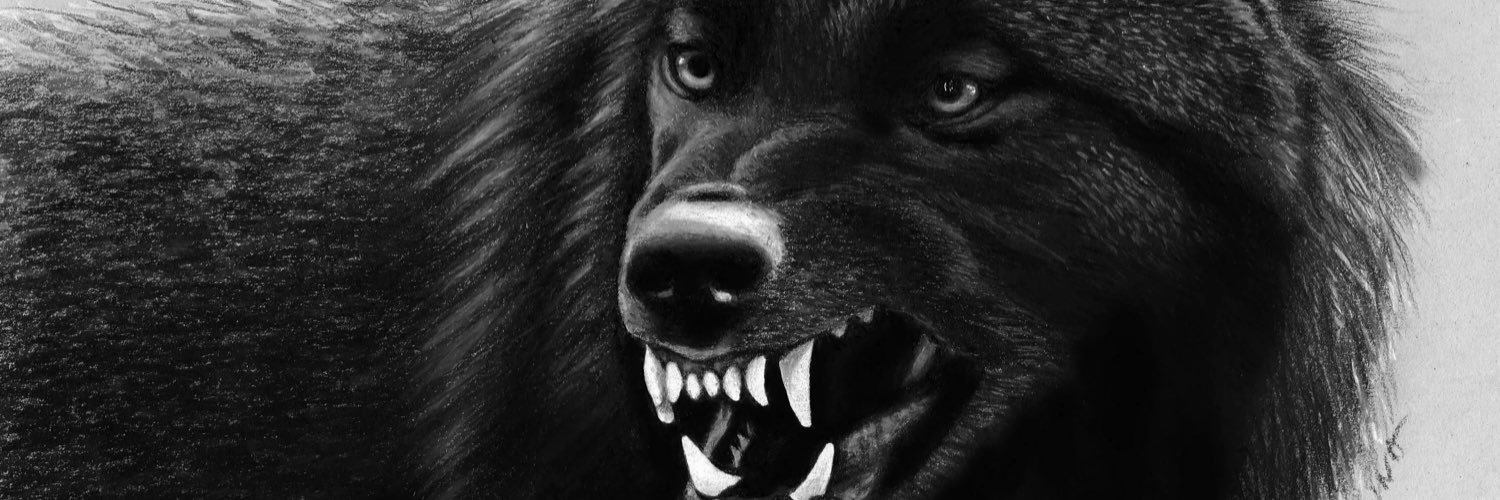 Connor_Henn23's profile banner image