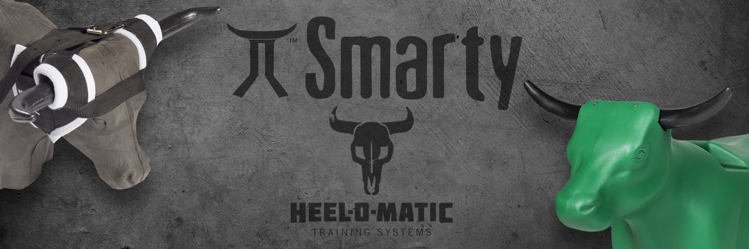 heelomatic's profile banner image