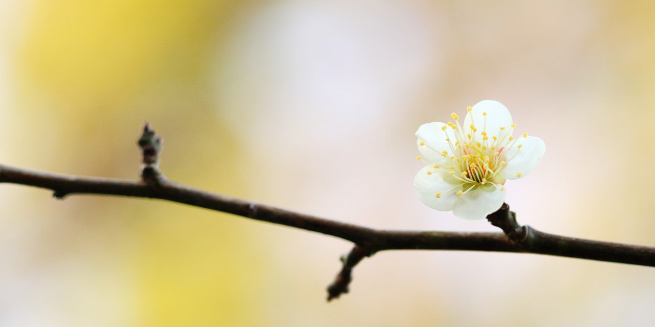 yut_s's profile banner image