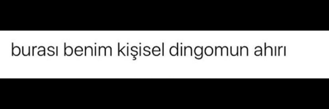 Fesih Güncü banner