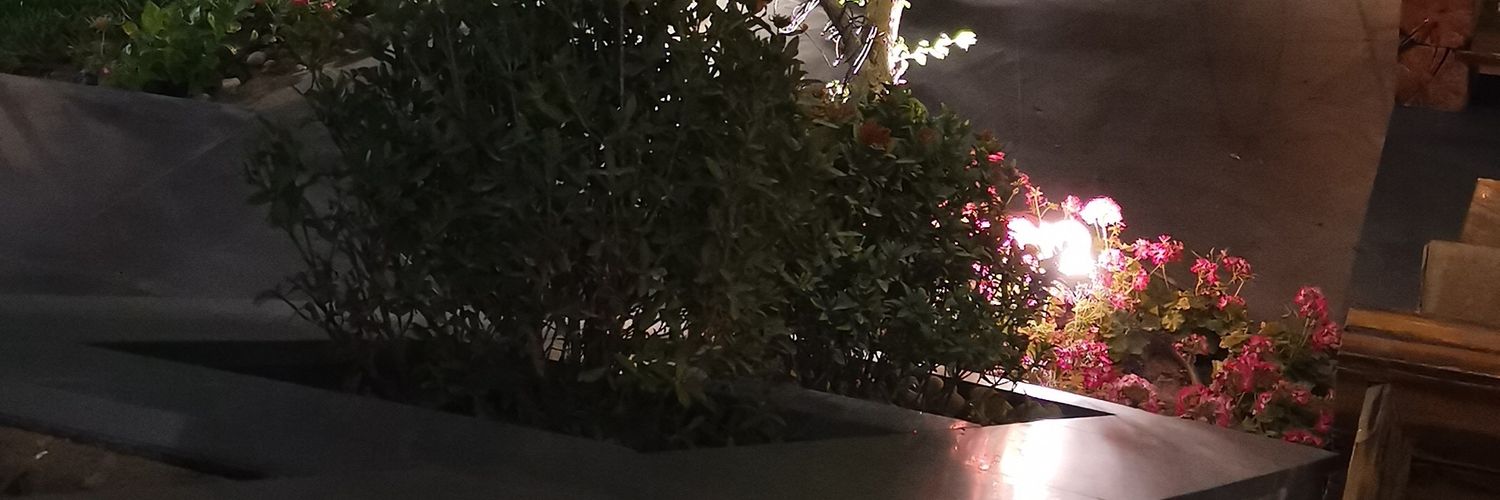 pɐɯɥɐ banner