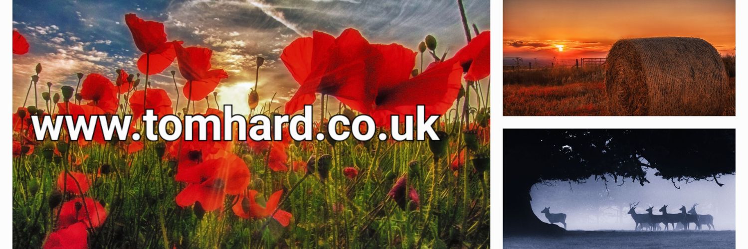 TDHPhotography's profile banner image