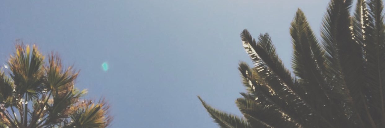 madysenhurst's profile banner image