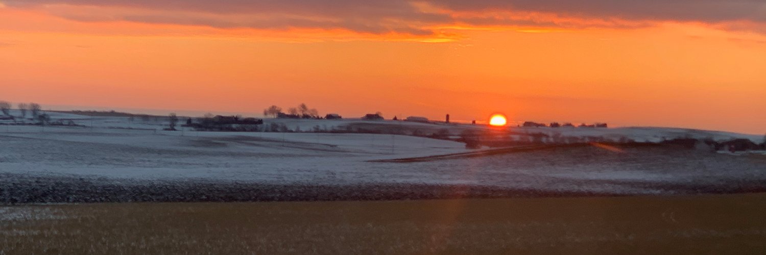 Laura Maursetter banner