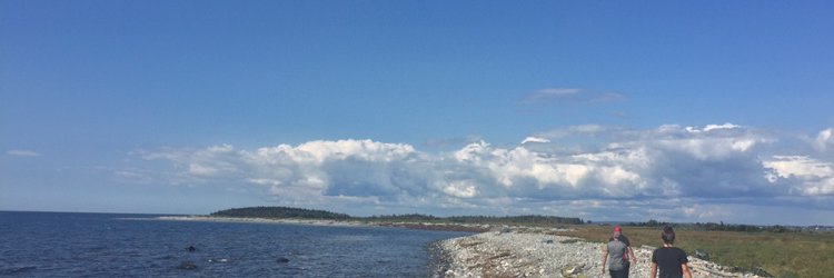 Liam Rappoldt banner