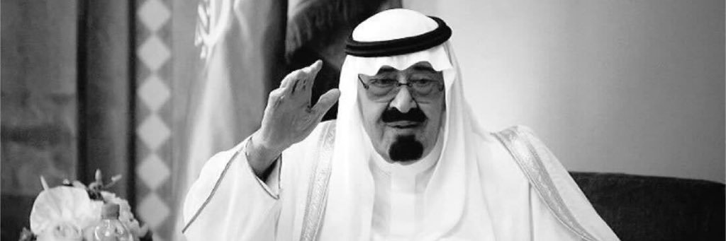 افوكادو banner