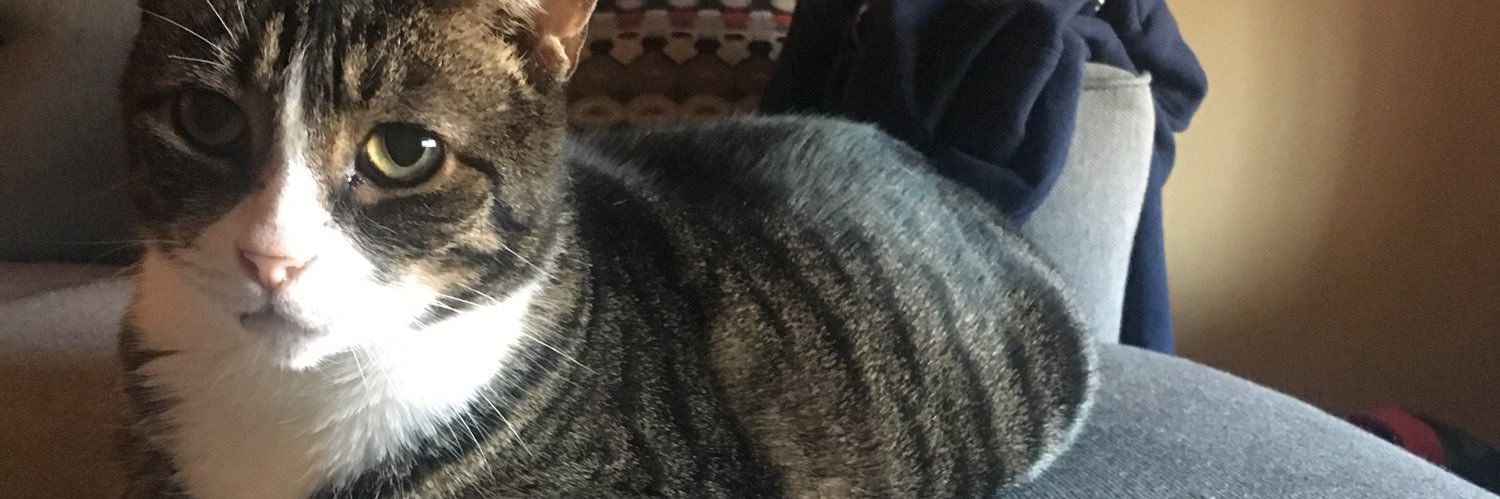 SleepyGoLucky's profile banner image