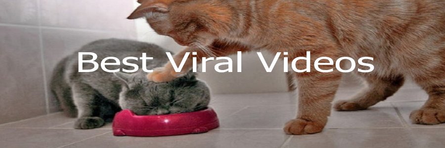 BestViralsVideo's profile banner image
