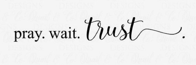 mj_raff's profile banner image