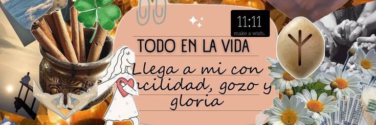 elayneortiz's profile banner image