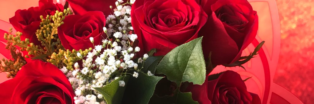 Monique_108's profile banner image