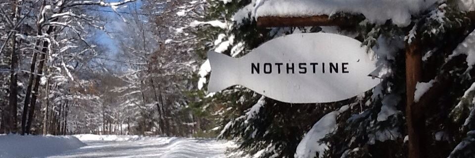 Ray Nothstine banner