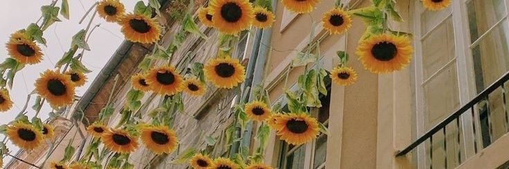 Mrsedulous's profile banner image