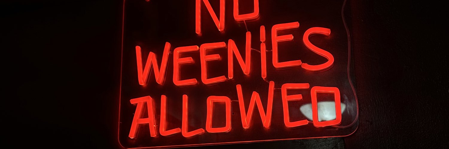 litzyanethh's profile banner image