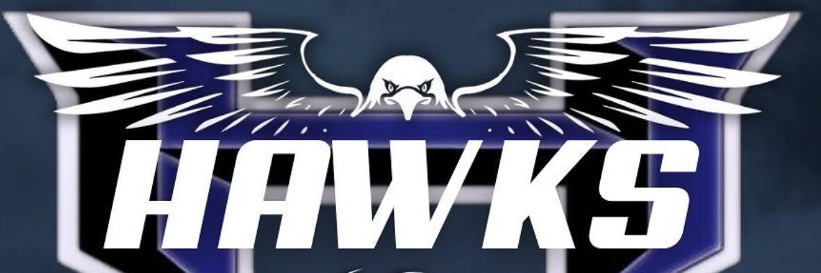 HHS Hawk Volleyball banner