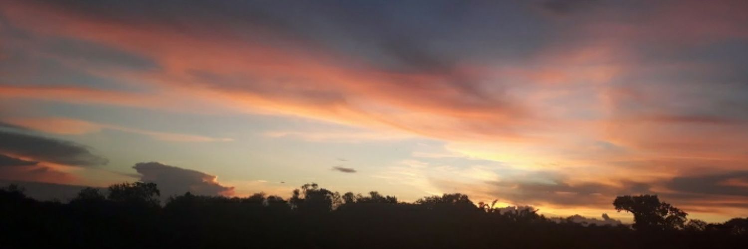 andreina_rueda's profile banner image