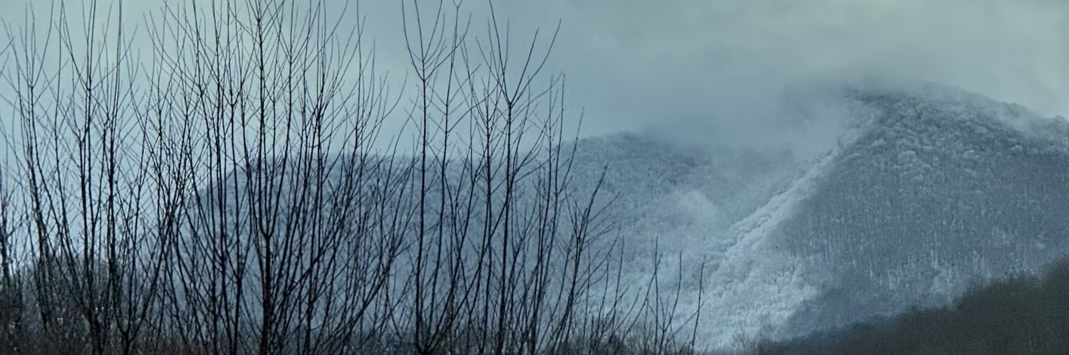mims_kei's profile banner image