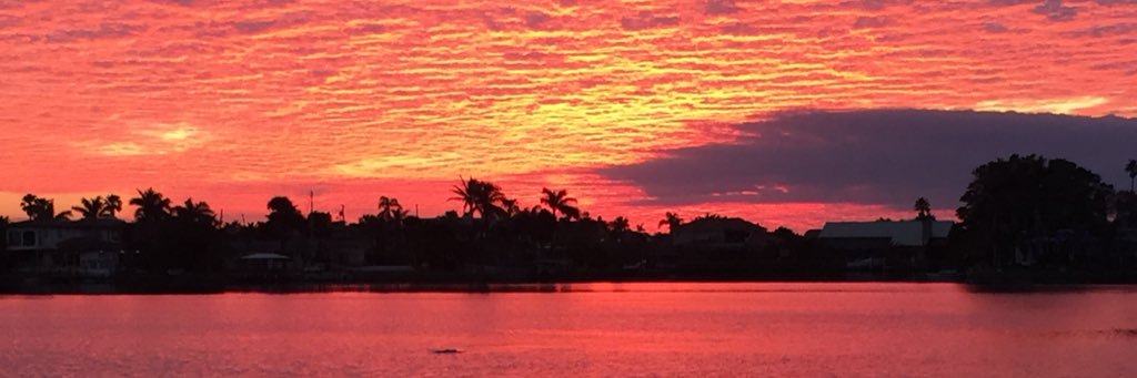 mitchell irwin banner