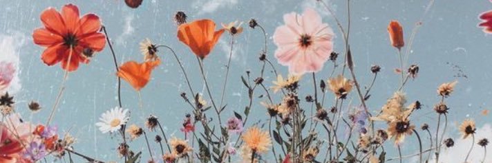 Julimarioni's profile banner image