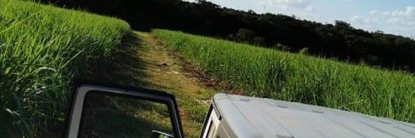 robertoperezpy Profile Banner