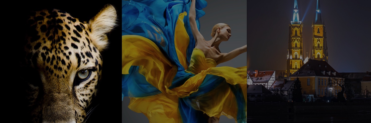AdamusMedia's profile banner image
